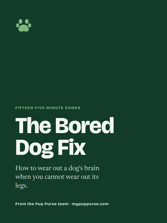 The Bored Dog Fix ebook cover